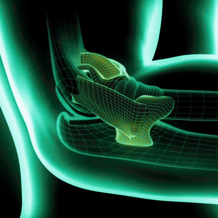 Equilibrio total de cuerpo y mente